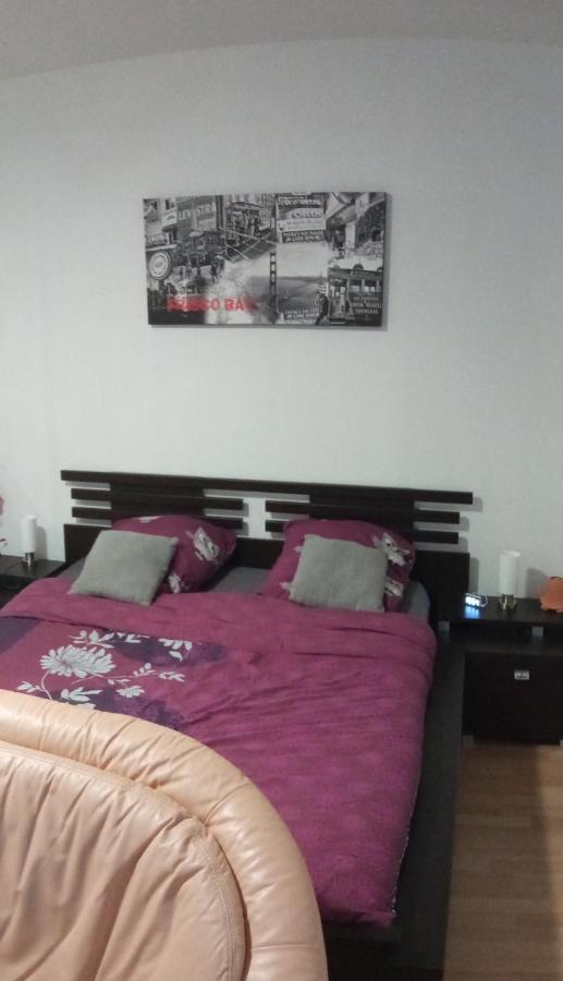 Charmant Studio Classe 3 Etoiles Au Coeur De Niederbronn-Les-Bains Zewnętrze zdjęcie